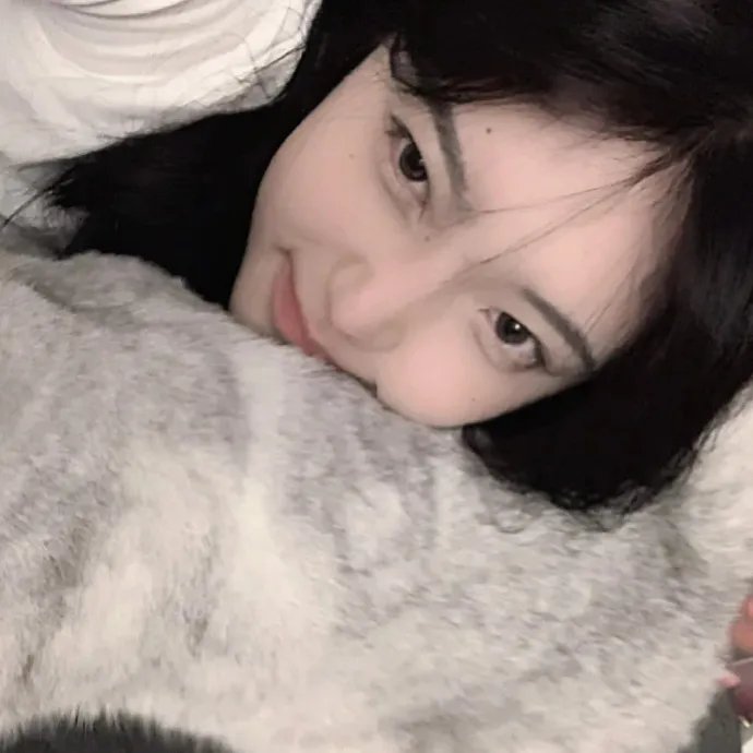 中情局律师海报