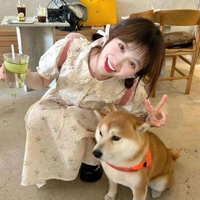 程序员那么可爱海报